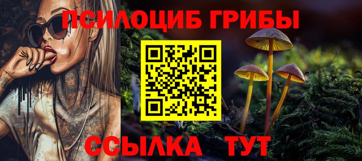Псилоцибиновые грибы прущие грибы Мончегорск